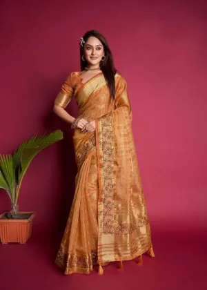 Orange Organza Silk  Saree